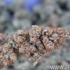 Monster Garage - 5 gr – Image 5