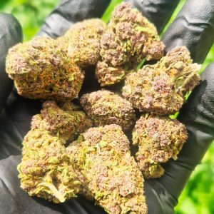 Pink panther CBD Indoor